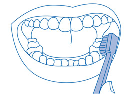 Dentes inferiores