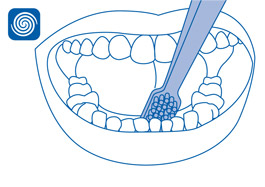 Local especial: Interior dos dentes anteriores inferiores(Face lingual)